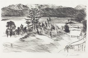 Grosse Walchenseelandschaft (stort Walchen-havslandskap) av Lovis Corinth