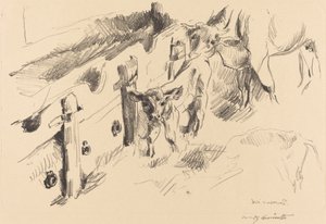 kalver av Lovis Corinth
