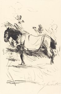 Reitpferd ridehest, 1916. av Lovis Corinth