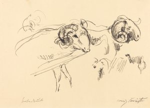 Schafböcke (Rams) av Lovis Corinth