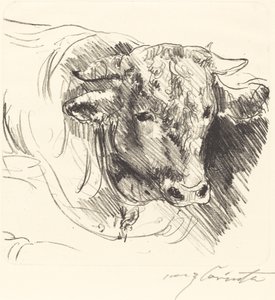 Stierkopf Head of a Steer, 1912. av Lovis Corinth