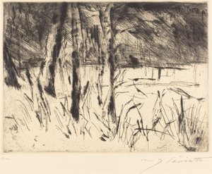 Tiergarten zoologiske hage, 1922. av Lovis Corinth