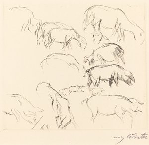 Ulike dyrestudier Animal Studies, 1917. av Lovis Corinth