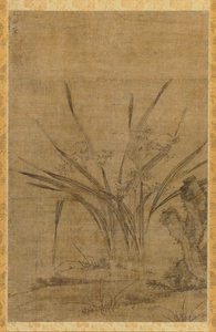 Narcissus og steiner av Lu Tianru