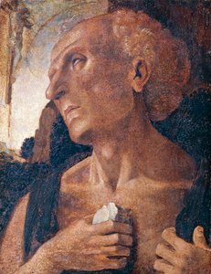 St. Jerome, tilskrevet Luca Signorelli (ca. 1441 eller 1450-1523) av Luca (attr.to) Signorelli