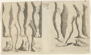 Studier av ben Tegnebok (serietittel) Le livre dissein (serietittel)