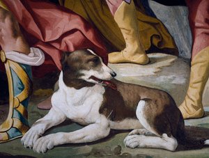Hund, detalj av freskomaleri fra syklusen Stories of Antenor