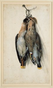 To døde bohemske vokser av Lucas Cranach the Elder
