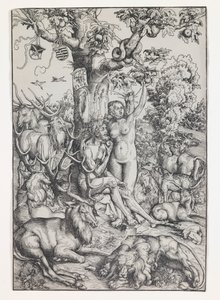 Adam og Eva i paradis av Lucas Cranach the Elder