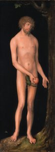 Tysk: Adam Adam av Lucas Cranach the Elder