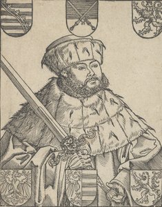 Kopi av John Frederic the Magnanimous, i valgkåper