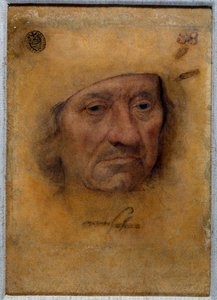 Portrett av doktor Petrus von Clapis Tegning i pastell av Bruyn fra skolen til Lucas Cranach den gamle (eller den eldre) av Lucas the Elder Cranach