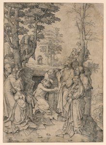Lasarus