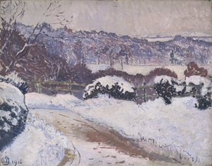 Dorking Road, Coldharbour, i snø