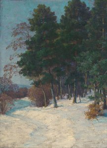 Skog om vinteren