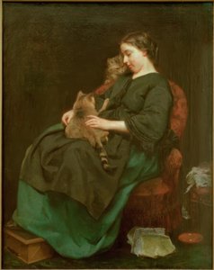 Kattemoren