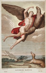 Ganymedes ført inn i himmelen eller Ganimede Rapito, bok X, illustrasjon fra Ovids Metamorphoses, Firenze, 1832 (håndfarget gravering) av Luigi Ademollo