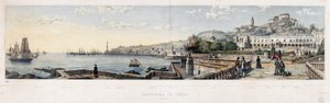 Panoramautsikt over byen Genova (litografi av Luigi Garibbo