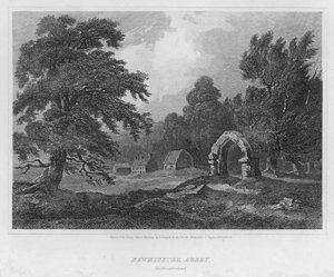 Newminster Abbey, Northumberland (gravering)