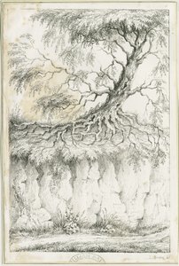 Dudley - Tre: litografi, nd [c 1825] (trykk) av Luke Booker