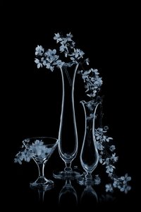 Blå blomster i glassvaser av Lydia Jacobs