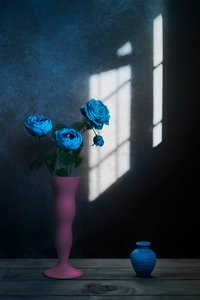 Vinduslys med blå roser av Lydia Jacobs