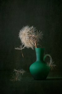 Løvetannfrø og grønn vase av Lydia Jacobs
