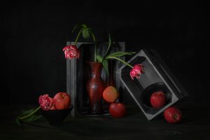 Mørke blomstrete epler av Lydia Jacobs