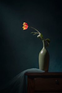 Mørkt blomsterstilleben av Lydia Jacobs