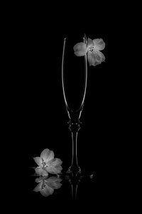 Sart blomsterrefleksjon av Lydia Jacobs