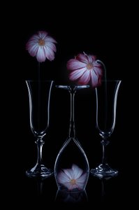 Sarte blomster og glassfløyter av Lydia Jacobs