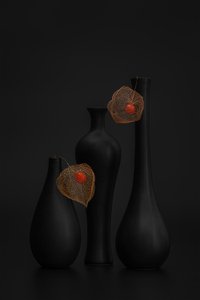 Elegant svart stilleben med kinesisk lykt