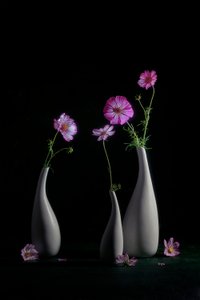 Elegant stilleben med pyntekorg av Lydia Jacobs