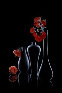 Elegant mørk flora