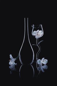 Elegante glassorkideer av Lydia Jacobs