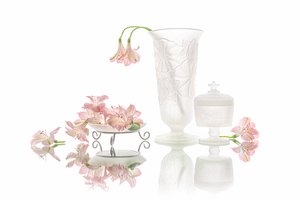 Elegant speiling av rosa blomster av Lydia Jacobs