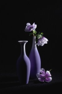 Elegante lilla anemoner av Lydia Jacobs