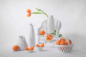 Elegante tulipaner og sitrusfrukter av Lydia Jacobs