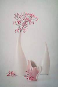 Myke rosa blomster av Lydia Jacobs
