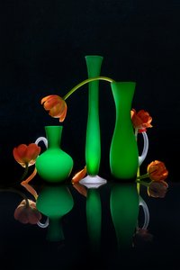 Glødende blomstervaser av Lydia Jacobs