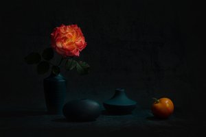 Glødende oransje rose av Lydia Jacobs