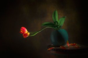 Stilleben med grasiøse tulipaner av Lydia Jacobs
