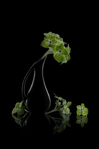 Refleksjon av grønne blomster av Lydia Jacobs