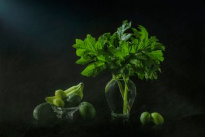 Frodig botanisk stilleben av Lydia Jacobs