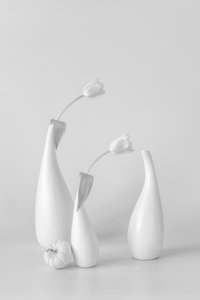 Minimalistiske hvite tulipaner av Lydia Jacobs