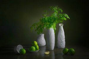 Moderne stilleben med lime av Lydia Jacobs