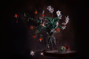 Stemningsfullt blomsterstilleben av Lydia Jacobs
