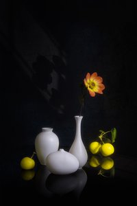 Stemningsfull blomst og frukt av Lydia Jacobs