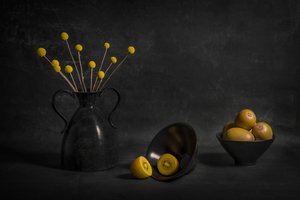 Stemningsfull gyllen kiwi og blomster av Lydia Jacobs