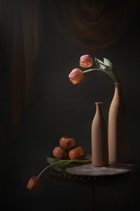 Stemningsfulle tulipaner og frukt av Lydia Jacobs